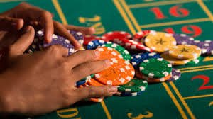 6z bet