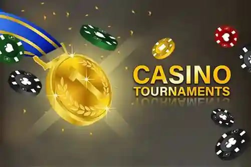 6z bet