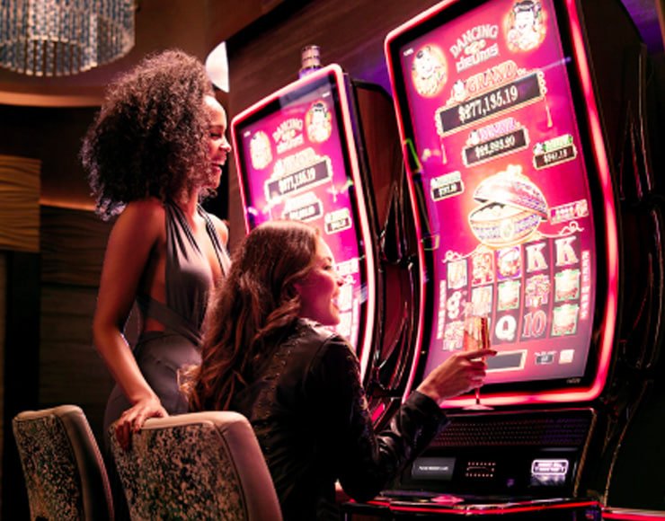6z bet