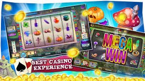 6z bet